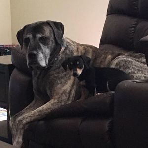 Meet your Posher, Robert